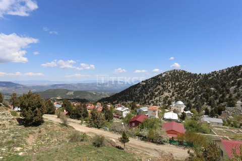 4 bedrooms Villa in Phu Tan, Vietnam No. 11056 27