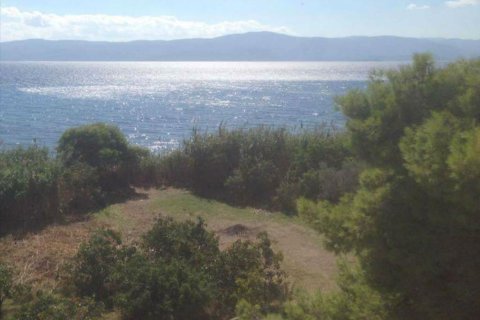 500m² Building in Agioi Theodoroi, Greece No. 56985 6