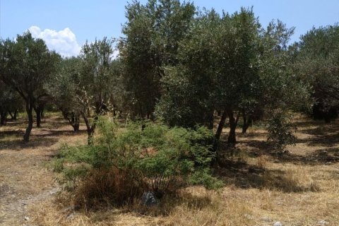 500m² Building in Agioi Theodoroi, Greece No. 56985 7