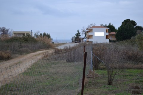 1000m² Land in Polygyros, Greece No. 109632
