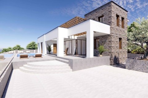 8 bedrooms Villa in Chalkidiki, Greece No. 107268 3