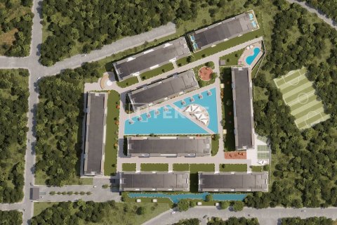 4 bedrooms Apartment in Tan Hung, Vietnam No. 86142 19