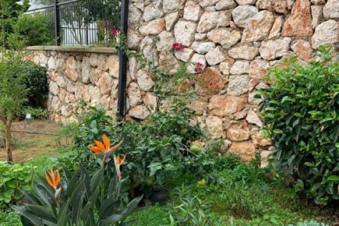 4 rooms Apartment in Chau Lang, Vietnam No. 18073 9