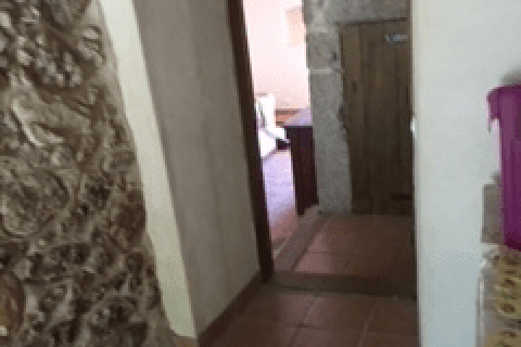 5 bedrooms House in Largeasse, France No. 69473 28