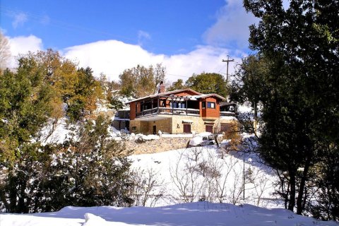 Дом с 4 спальнями в Эвбея, Греция №59890 16