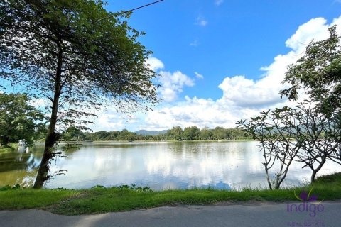 Commercial property en Chiang Mai, Thailand No. 97798 2