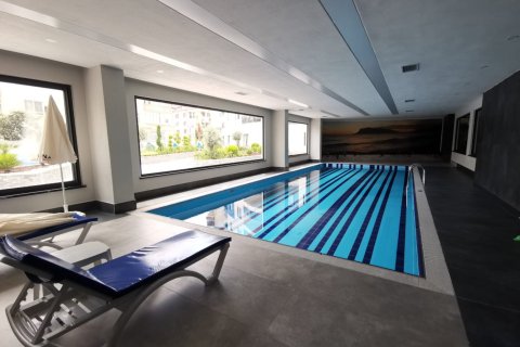 2 bedrooms Apartment in Chau Lang, Vietnam No. 15021 28