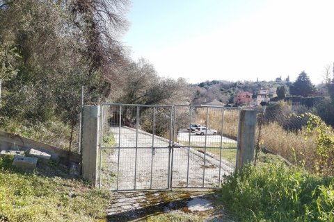 9000m² Land en Corfu, Greece No. 55679 10