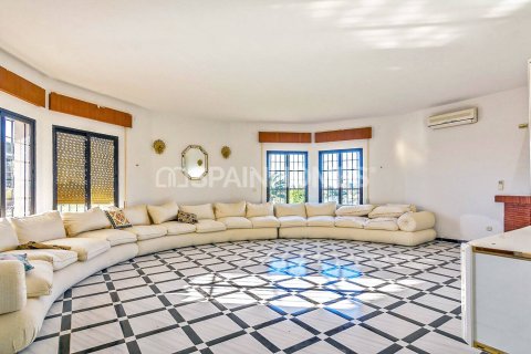 6 bedrooms Villa in Phu My, Vietnam No. 26373 12