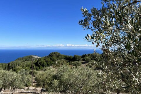 Land in Zakynthos, Greece No. 28065 11