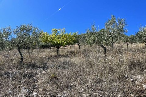 Land in Zakynthos, Greece No. 28065 10