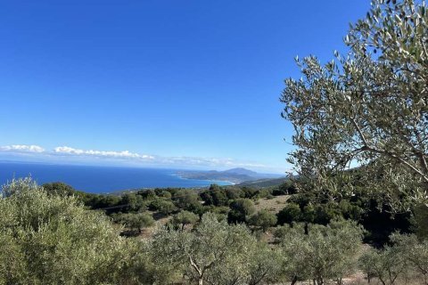 Land in Zakynthos, Greece No. 28065 1