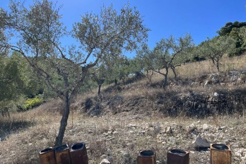 Land in Zakynthos, Greece No. 28065 13
