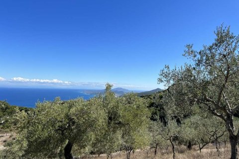 Land in Zakynthos, Greece No. 28065 15