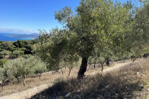 Land in Zakynthos, Greece No. 28065 17