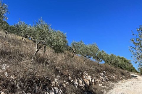 Land in Zakynthos, Greece No. 28065 9