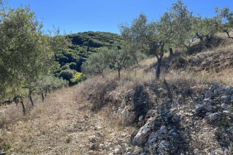 Land in Zakynthos, Greece No. 28065 16