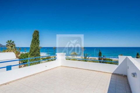 3 bedrooms House in Polis, Cyprus No. 101446 10