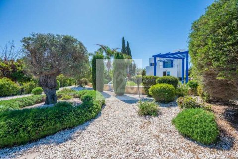 3 bedrooms House in Polis, Cyprus No. 101446 11