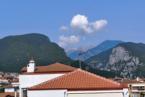 2 bedrooms House in Litochoro, Greece No. 107652 22