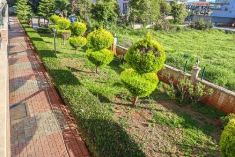 4 rooms Apartment in Tri Phuong, Vietnam No. 21866 12