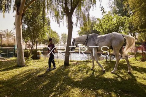 4 dormitorios Townhouse en Darna, Vietnam No. 81136 12