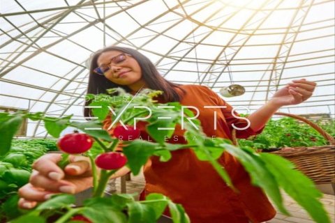 4 dormitorios Townhouse en Darna, Vietnam No. 81136 17