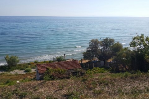 24000m² Land in Zakynthos, Greece No. 59037 8
