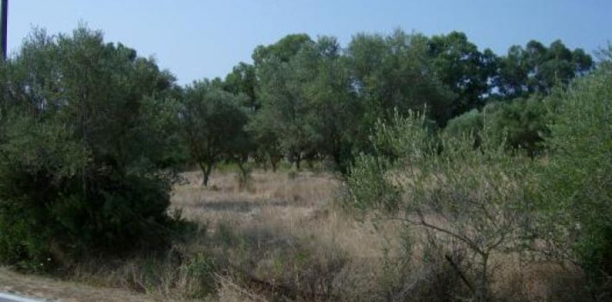 Land in Zakynthos, Greece No. 24518
