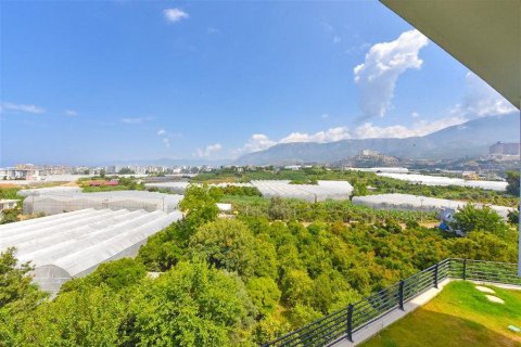 5 rooms Villa in Lien Chieu, Vietnam No. 20874 22