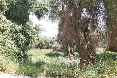 Земельный участок 700м² в Керкира, Греция №109484 4