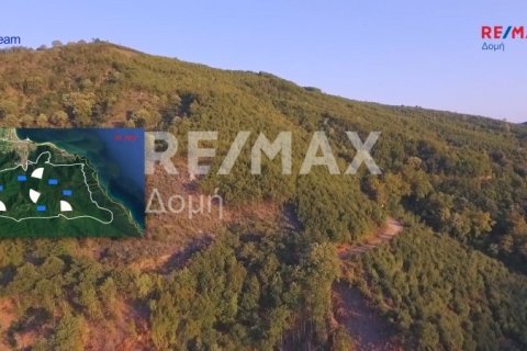 15000000m² Land in Rentina, Greece No. 27960 5