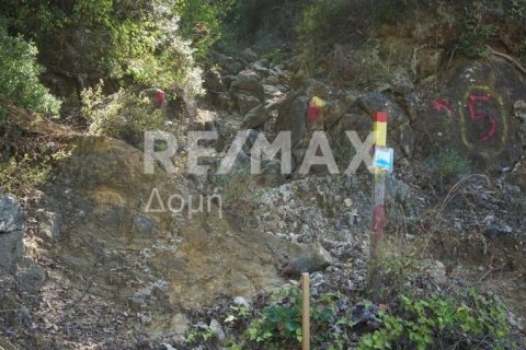 15000000m² Land in Rentina, Greece No. 27960 19