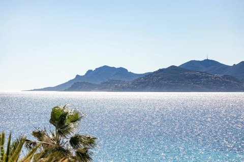 4 chambres Appartement à Cannes, France No. 67991 3