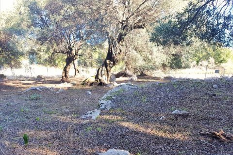 2 chambres Land à Corfu, Greece No. 57791 15