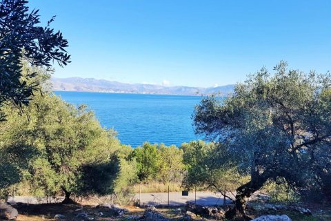 2 chambres Land à Corfu, Greece No. 57791 4