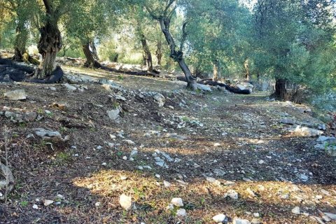 2 chambres Land à Corfu, Greece No. 57791 19