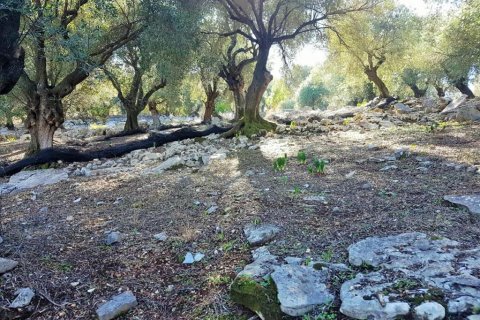 2 chambres Land à Corfu, Greece No. 57791 20