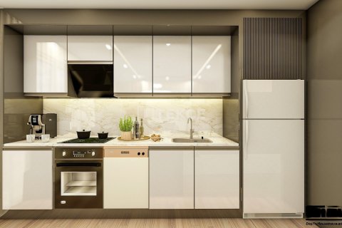 5 dormitorios Apartment en Phu Tan, Vietnam No. 21964 7