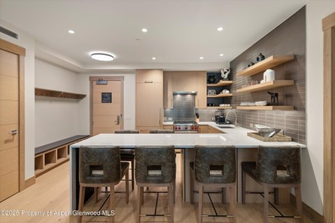3 bedrooms Condo  in Snowmass Village, USA No. 104584 24