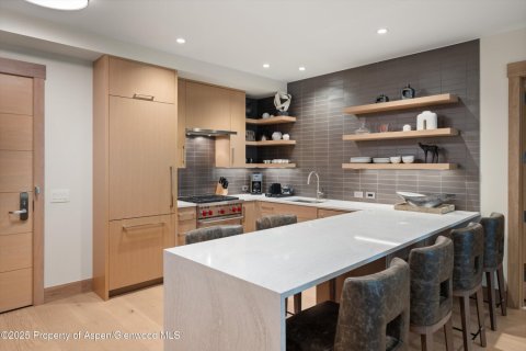 3 bedrooms Condo  in Snowmass Village, USA No. 104584 22