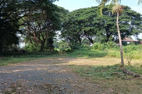 96 bedrooms Commercial property in Chiang Mai, Thailand No. 97567 5