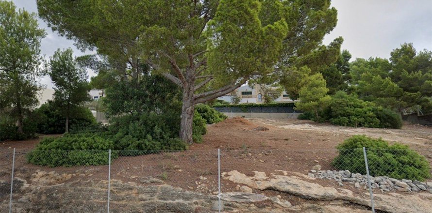 480m² Land en Dak Sin, Vietnam No. 117098