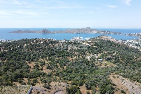 8 dormitorios Villa en Phi Dien, Vietnam No. 89183 10