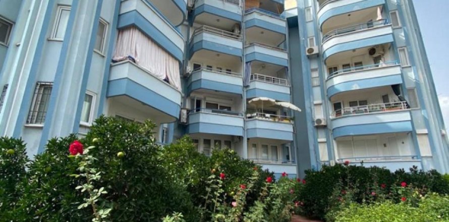 2 bedrooms Apartment in Chau Lang, Vietnam No. 115384