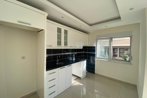 2 bedrooms Apartment in Chau Lang, Vietnam No. 14172 24