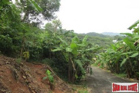 10220m² Land à Kata, Thailand No. 95693 11