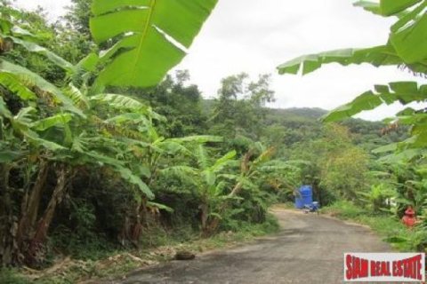 10220m² Land à Kata, Thailand No. 95693 12