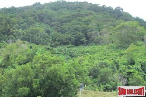 10220m² Land à Kata, Thailand No. 95693 2