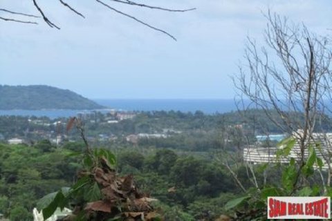 10220m² Land à Kata, Thailand No. 95693 13